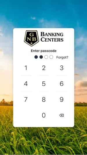 GNB Banking Centers screenshot 2