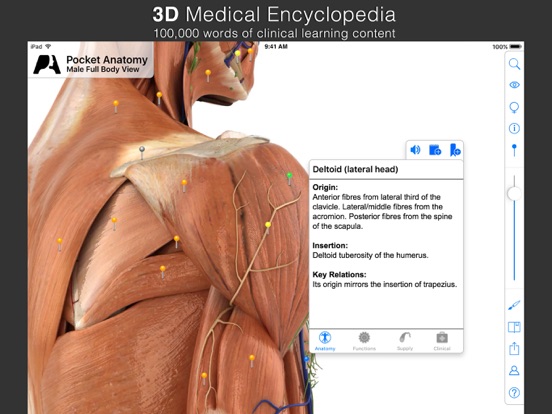 Screenshot #6 pour Pocket Anatomy.