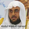 Abdul Wadud Haneef Quran 2021 - Mehmet Sulan