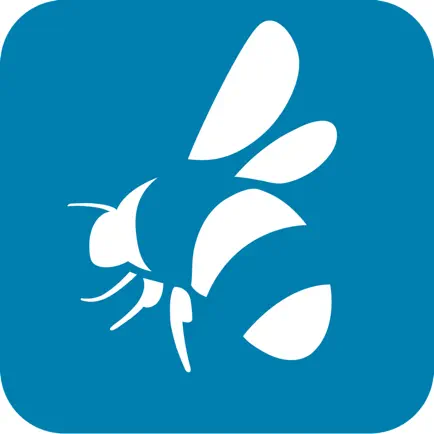 What’s that bumblebee Читы