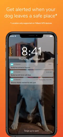 Game screenshot FitBark Dog GPS & Health apk