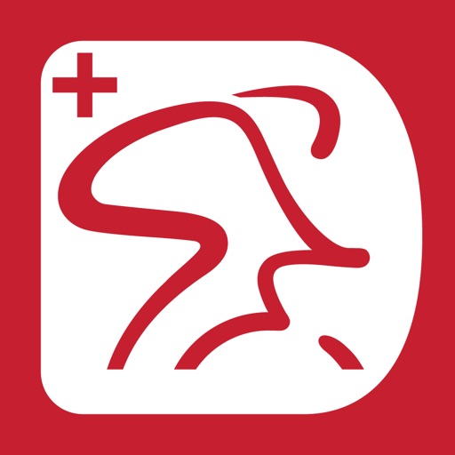 Spinning Digital plus icon