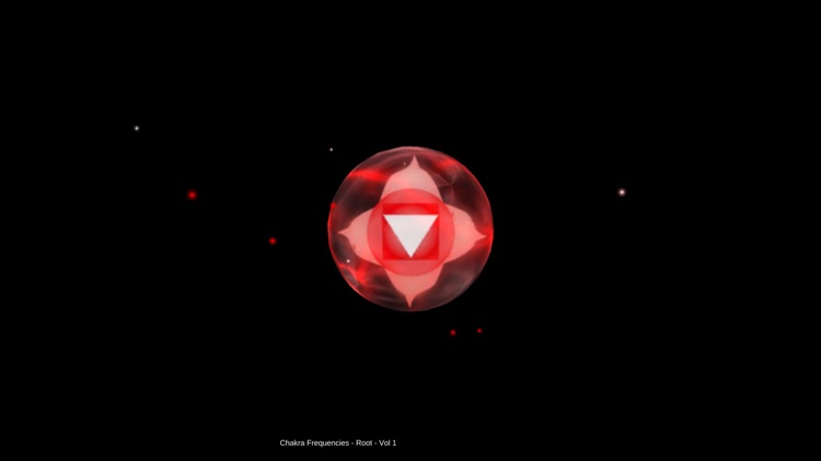 Chakra Experience screenshot-7