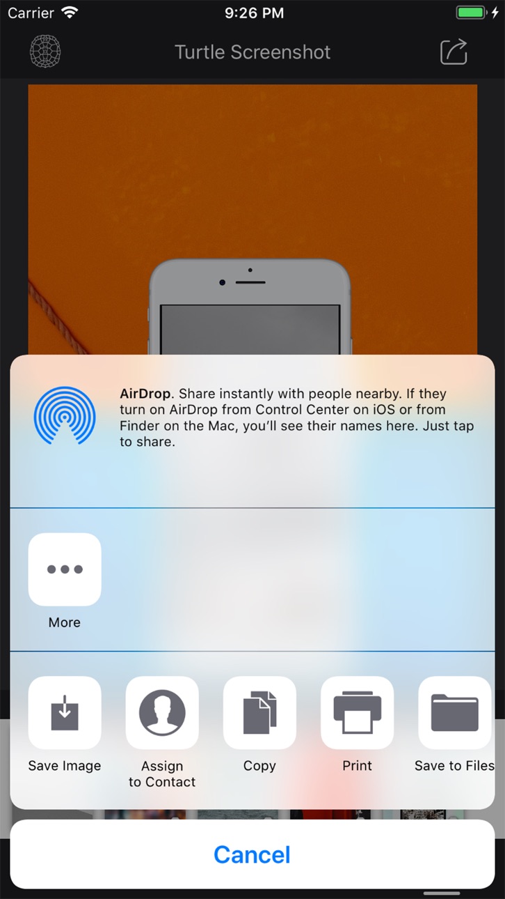 iPhone screenshot