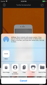 Turtle Wrapper-Screenshot screenshot