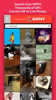 livgif - discover &convert gif problems & solutions and troubleshooting guide - 1