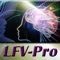 Living From Vision is a course designed to help everyone to manifest their dreams and goals