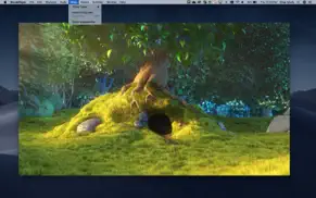 azul - videos player desktop iPhone Captures Décran 4