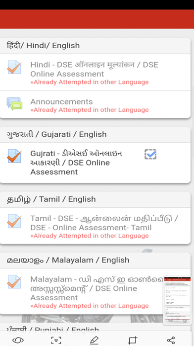 DSE Assessment screenshot 4