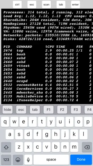 Скриншот Telnet Lite на iPhone 3