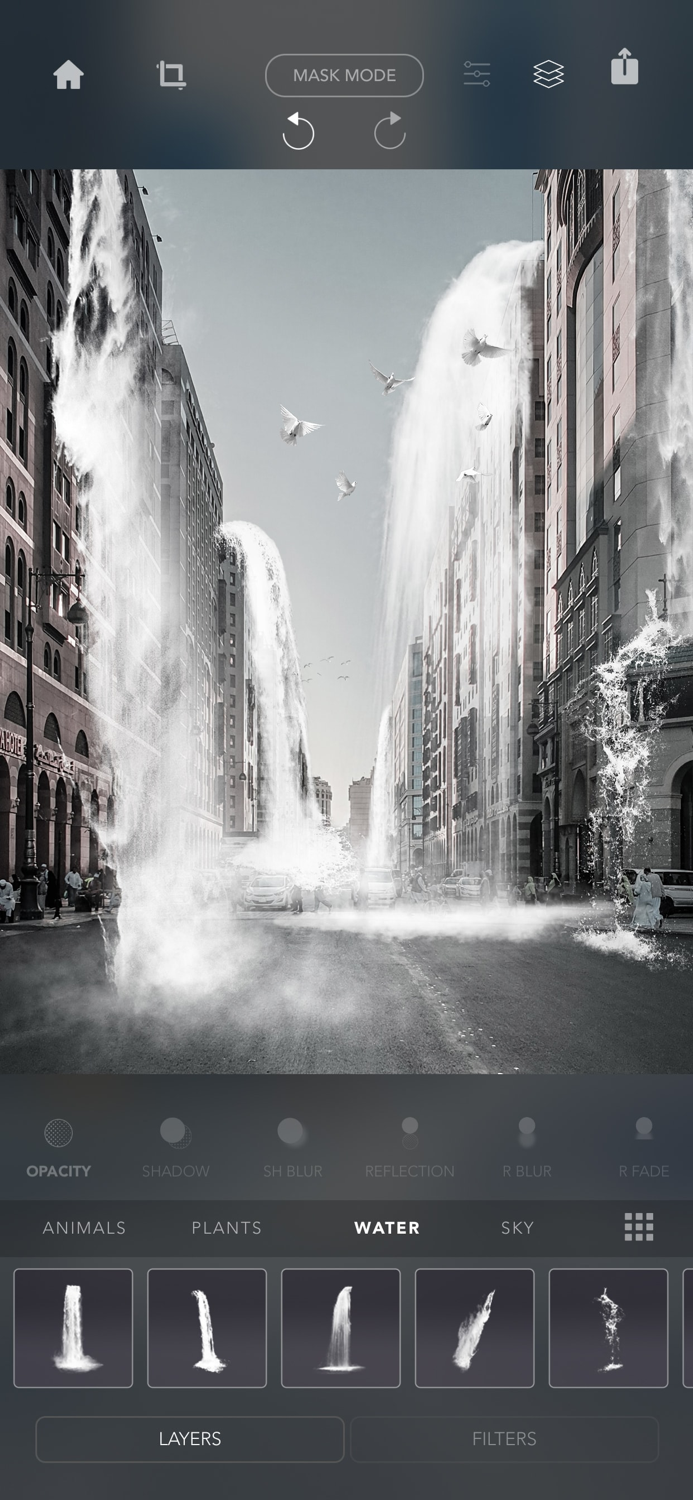 Urban Jungle Photo Editor