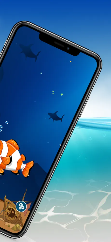 The Conch Shell: Magic answers