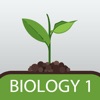 GCSE Biology Practice