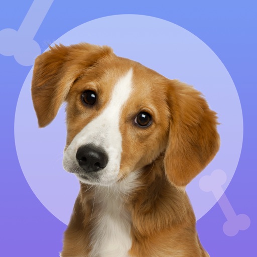 Dog translator-my dog whistle