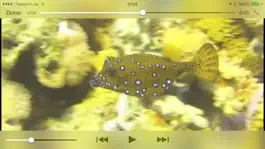 Game screenshot Reef Guide hack
