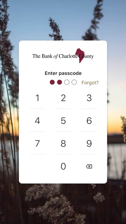 Bank of Charlotte Mobile