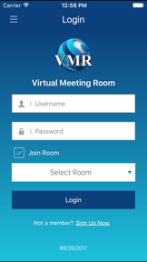 Virtual Meeting Room (VMR) screenshot