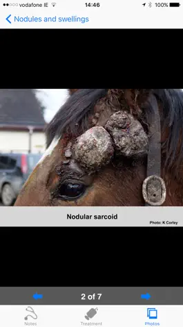 Game screenshot Equine Dermatology mod apk