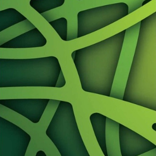 Parque da Cidade Download