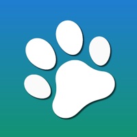 Animal Recognition AR