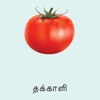 Learn Tamil FlashCards icon