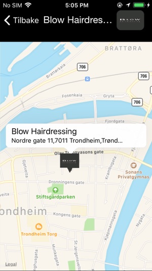 Blow Hairdressing(圖3)-速報App