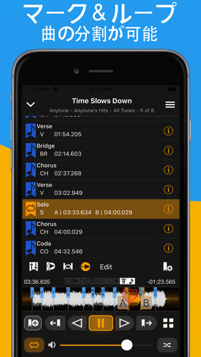 Anytune Pro+ screenshot1