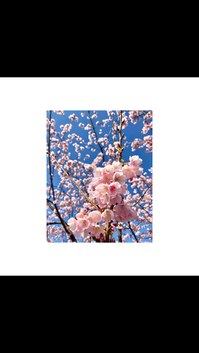 Background Color Editorのおすすめ画像3