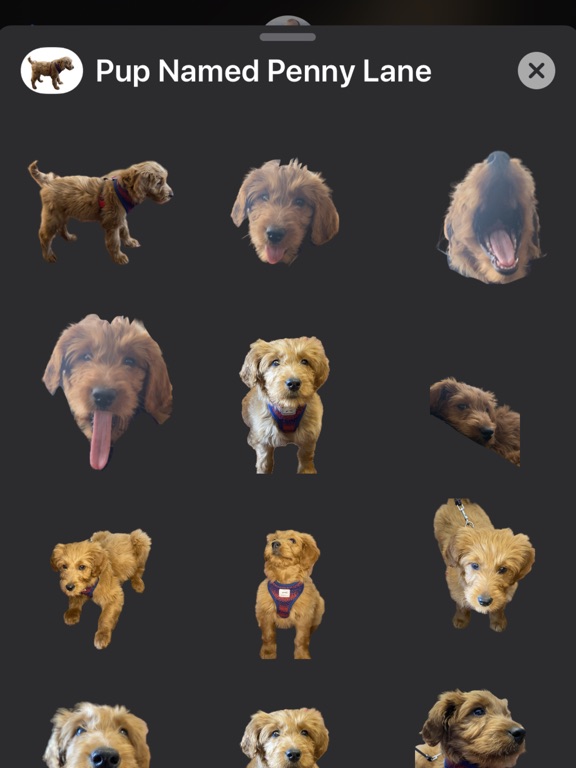 Screenshot #4 pour Pup Named Penny Lane