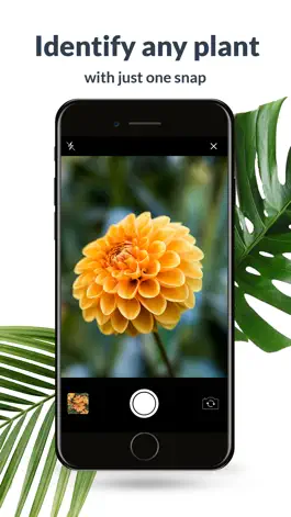 Game screenshot Plant Identification Lite mod apk