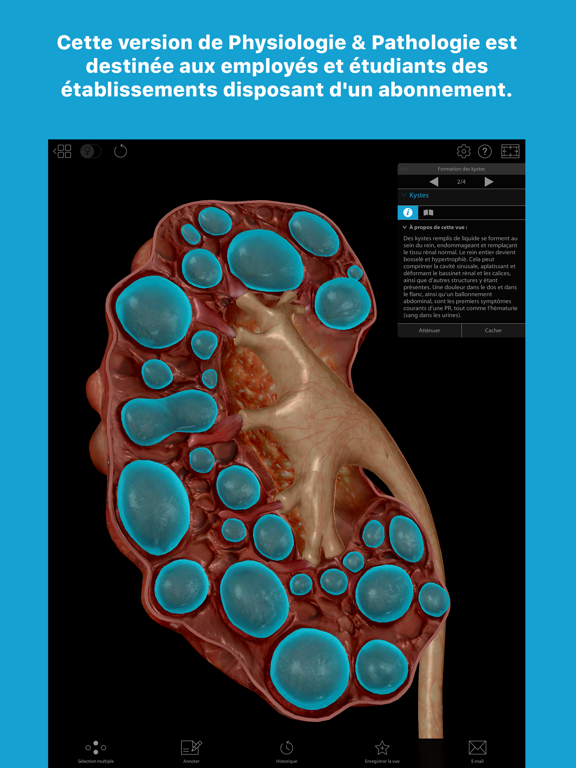 Screenshot #4 pour P&P Subscription