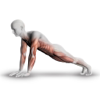 Plank - 30 Days of Challenge - Gabriel Lupu