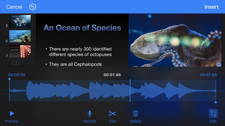 Keynote screenshot-6