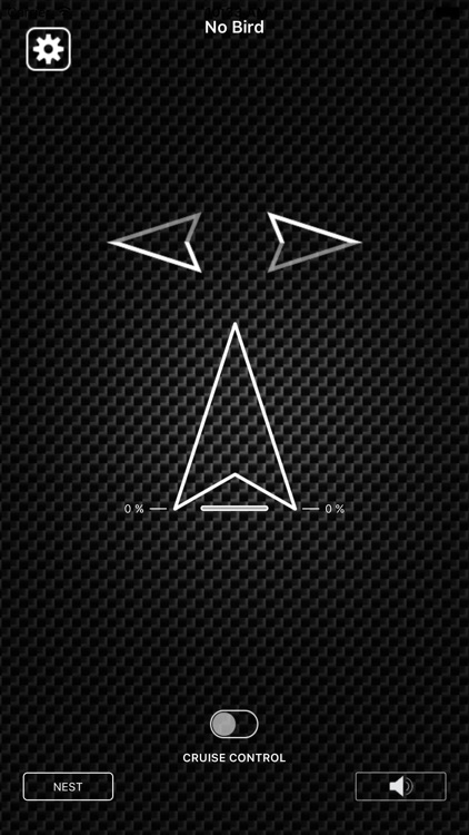 The Flying App screenshot-3