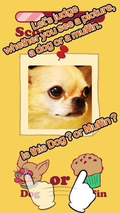 How to cancel & delete Dog Or Muffin - Cute & Strange from iphone & ipad 1