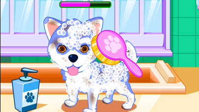 Puppy games & kitty game salon Screenshot