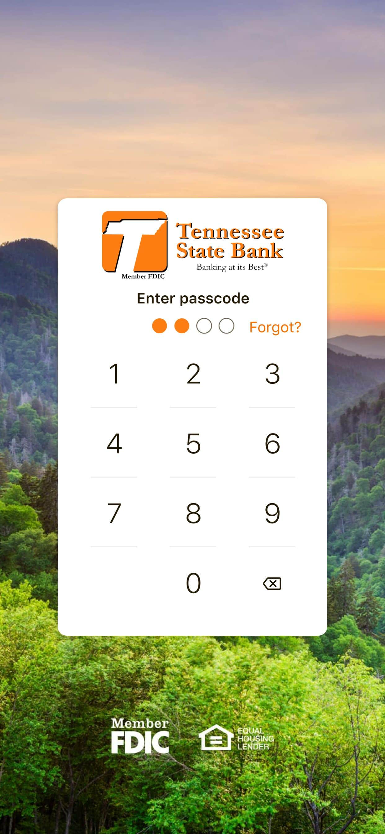 TNStateBank Mobile