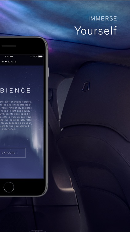 Volvo Ambience