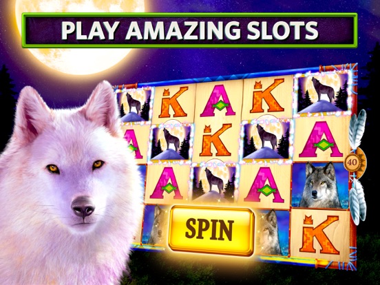 Slots on Tour - Wild HD Casino iPad app afbeelding 1