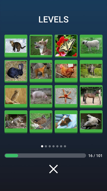 Learn the Animals: Quiz screenshot-3