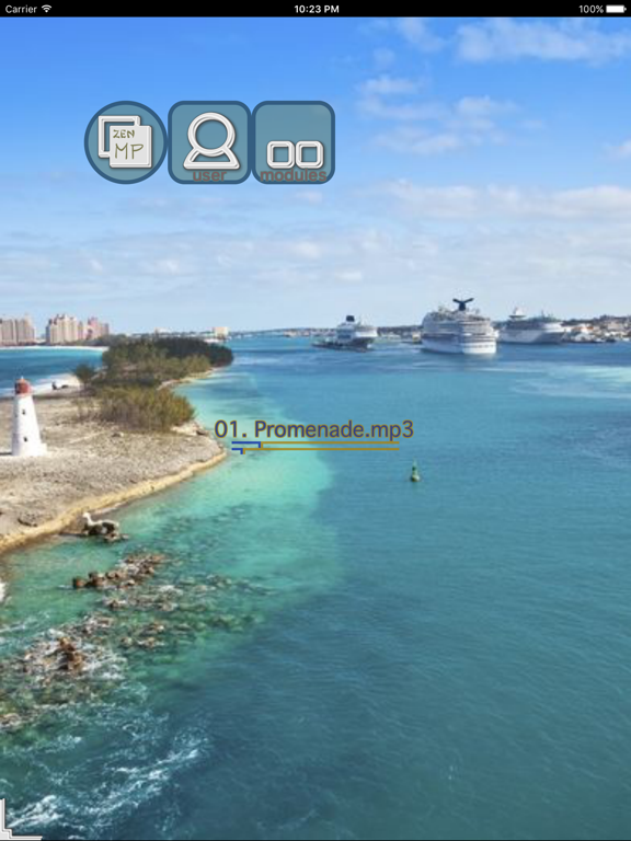 Screenshot #4 pour CatchIT Spaces Zen-MP