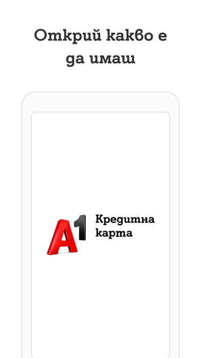 A1 Credit Card Screenshot