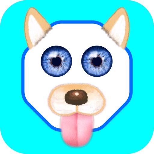Funny Face - Photo Stickers