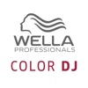 Color DJ icon