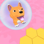 Corgi Ball