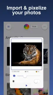 art pixels • paint by numbers айфон картинки 3