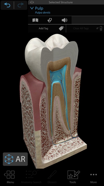 Human Anatomy Atlas 2021 screenshot-8