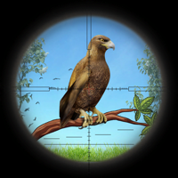 FPS Hunter Bird Hunting 2020