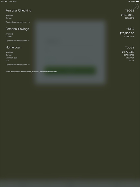 Uwharrie Bank e-zMobile iPad screenshot 4 - Finance app