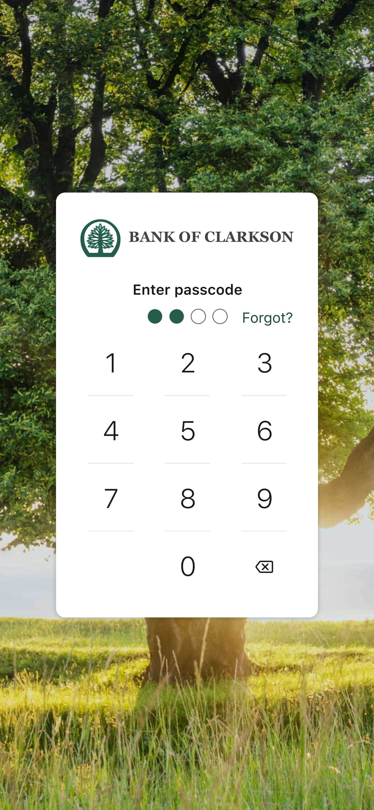 BOC Go screenshot 4